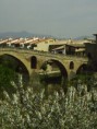 /album/mis-fotos/salida-a-estella-y-puente-la-reina-9-jpg/